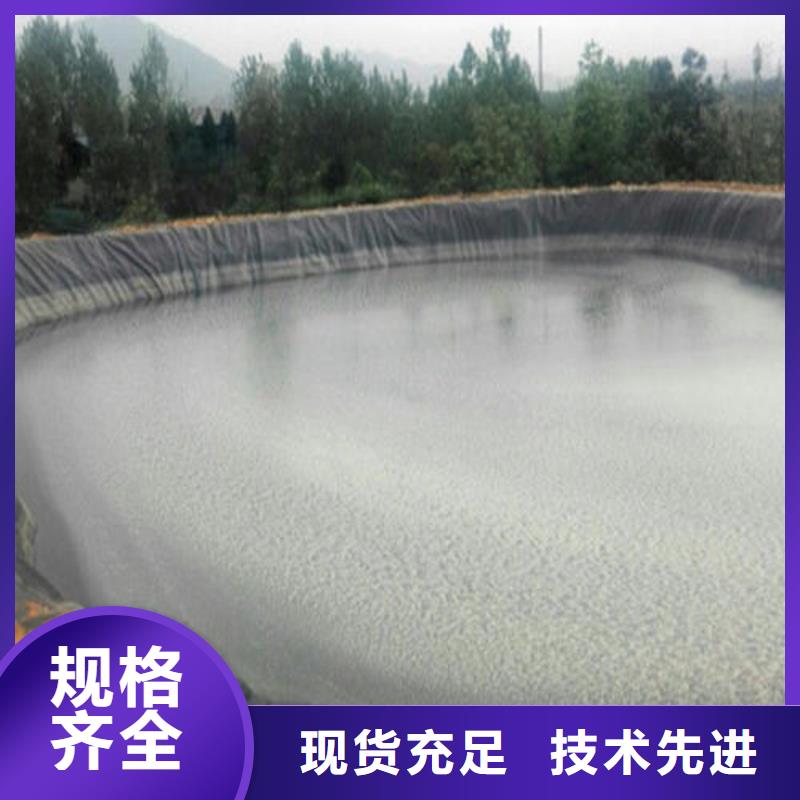 土工膜钢塑土工格栅厂家本地配送