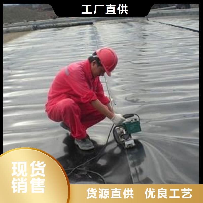 土工膜钢塑土工格栅厂家本地配送