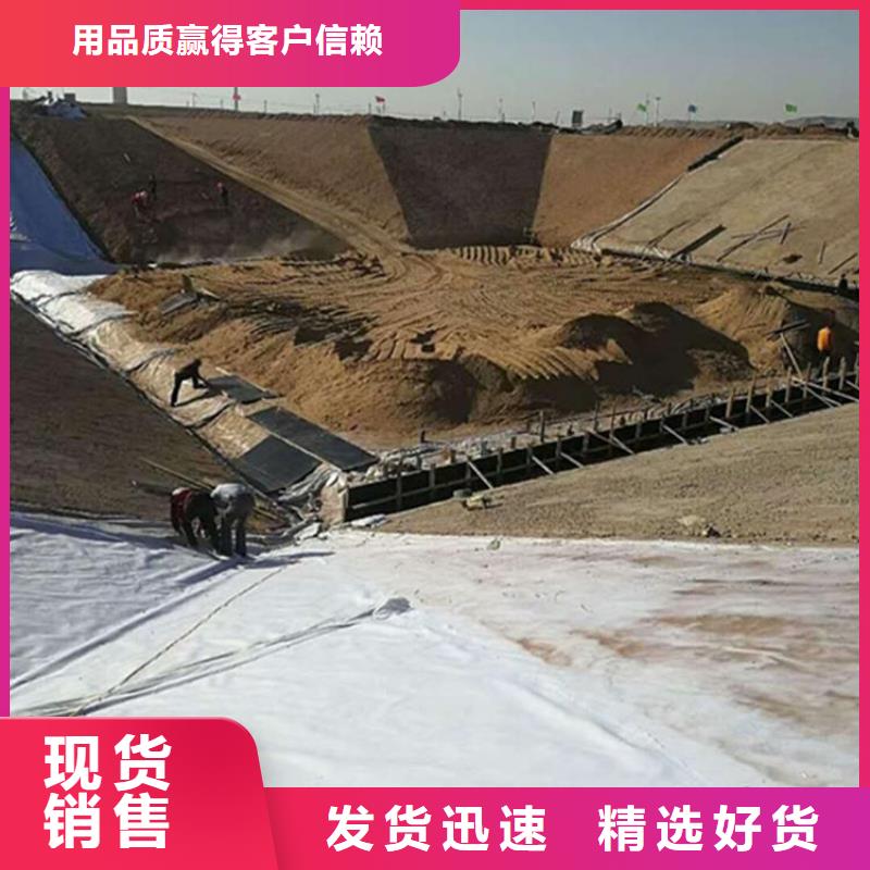 【土工膜_钢塑土工格栅厂家核心技术】