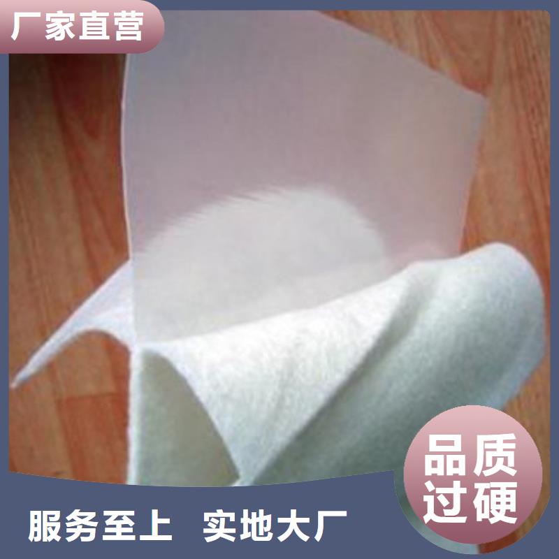 【土工膜】-土工布批发品质保障售后无忧