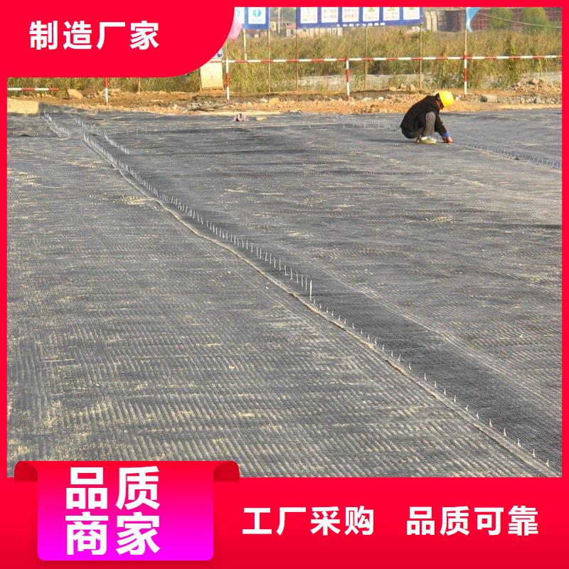 土工格栅涤纶土工格栅应用广泛