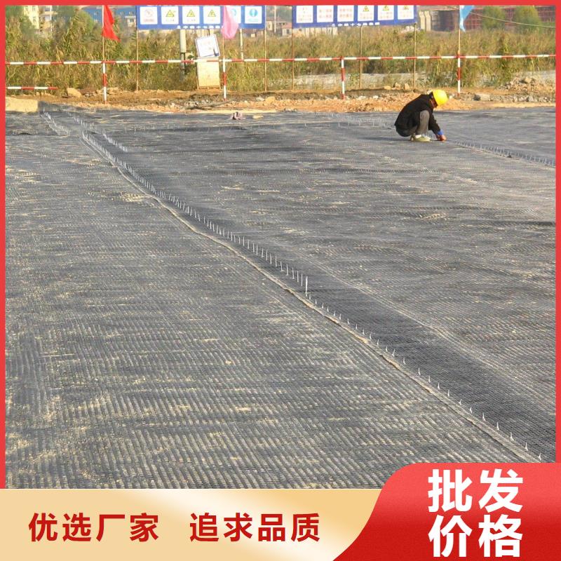 土工格栅土工布价格诚信厂家