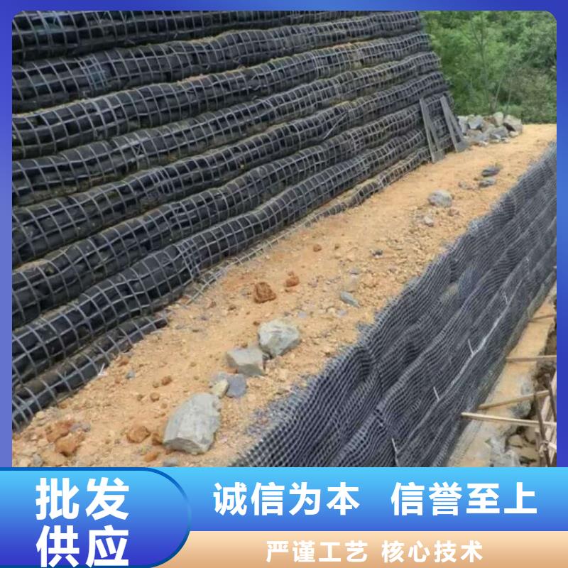 【土工格栅】-三维水土保护毯信誉至上