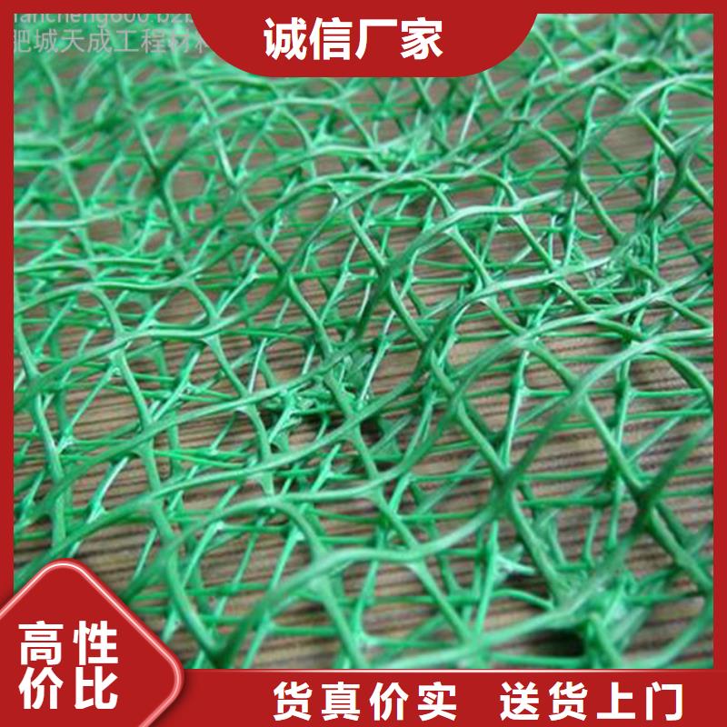 三维植被网钢塑土工格栅供应采购
