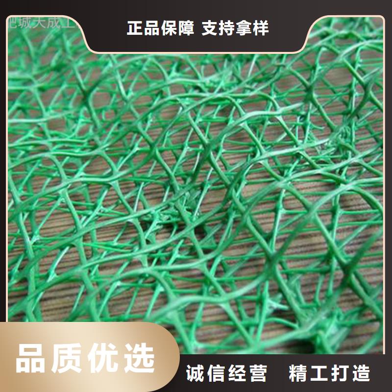 【三维植被网】钢塑土工格栅厂家质量优价格低