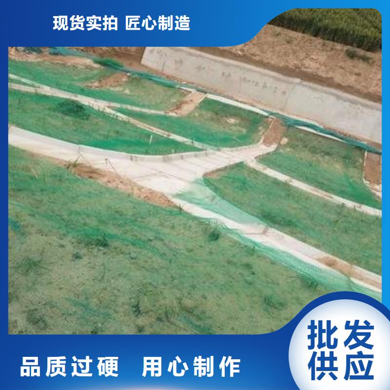 三维植被网【玻璃纤维土工格栅】可放心采购