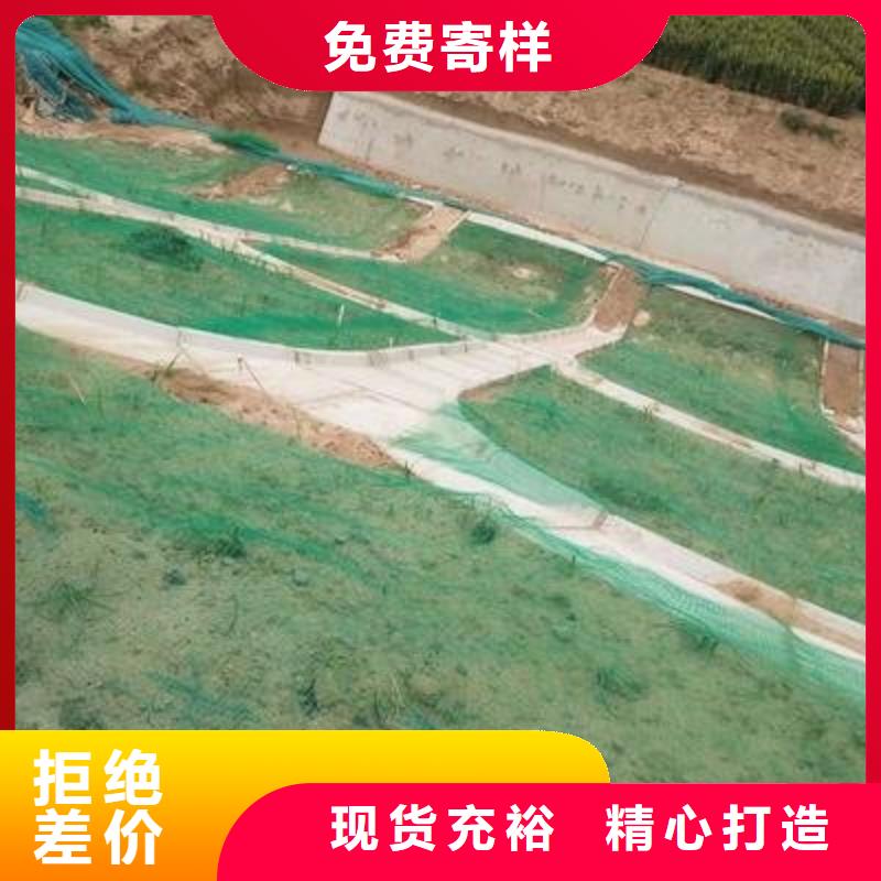 三维植被网膨润土防水毯超产品在细节