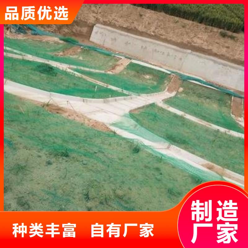 三维植被网膨润土防水毯多家仓库发货