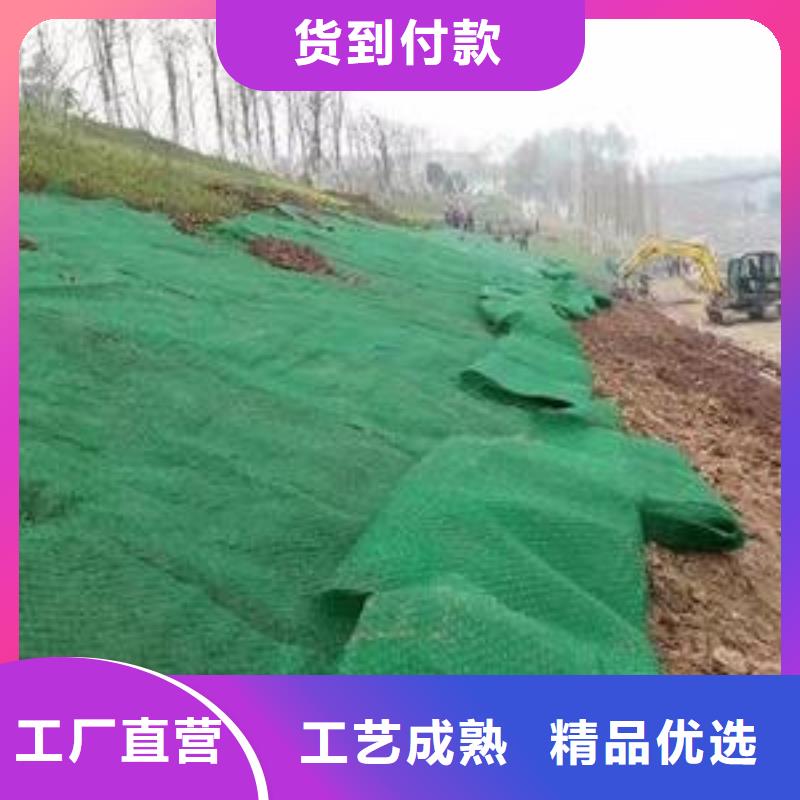 三维植被网土工膜厂家十分靠谱