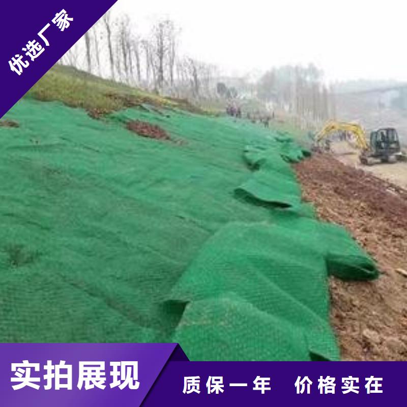 三维植被网短丝土工布专业生产品质保证