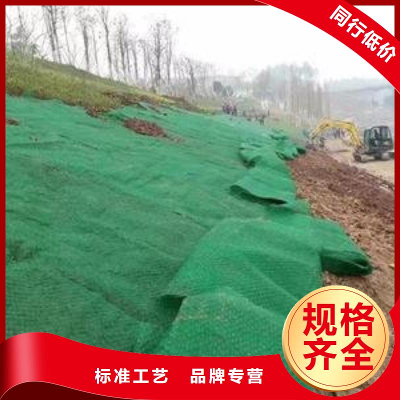 三维植被网,玻璃纤维土工格栅货源稳定