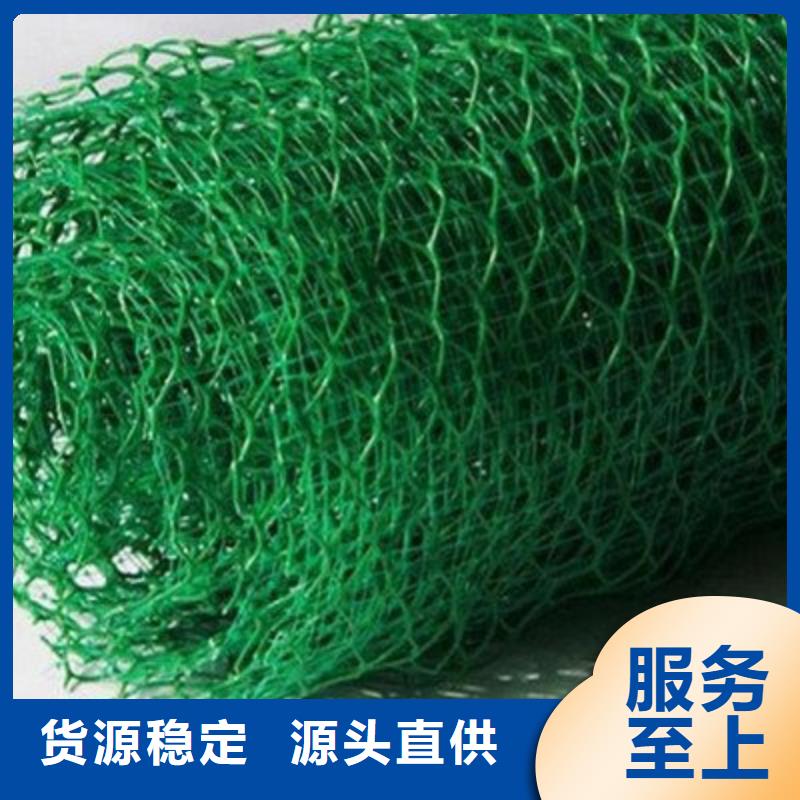三维植被网土工格室专业生产厂家