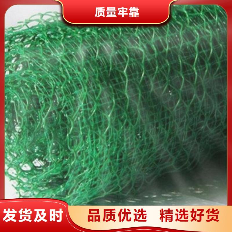 三维植被网塑料排水板专业生产厂家