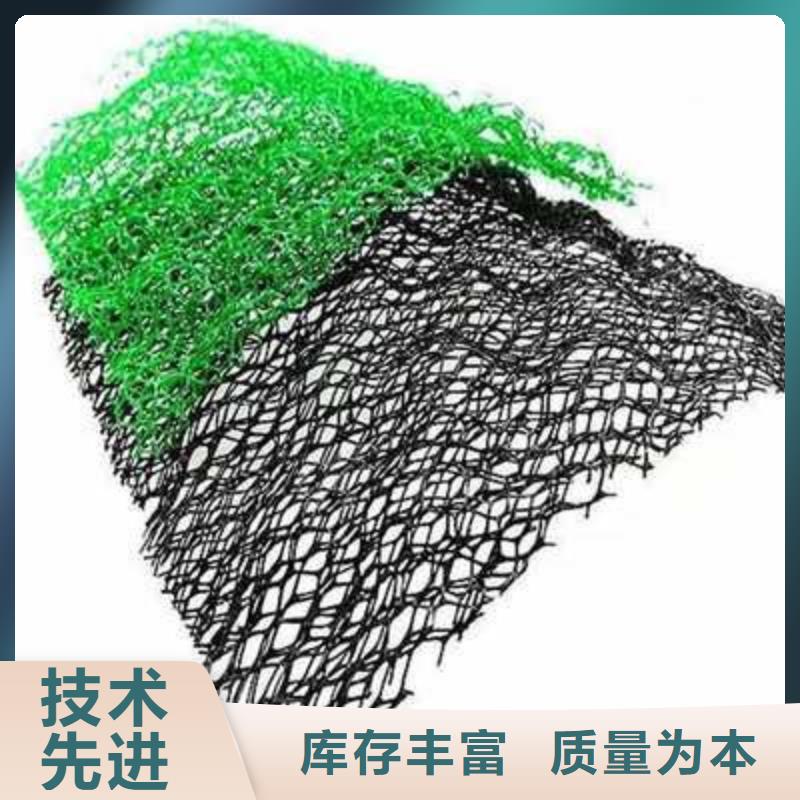 三维植被网三维土工网垫生产型
