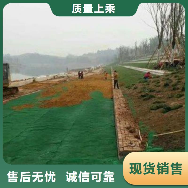 三维植被网土工膜厂家十分靠谱