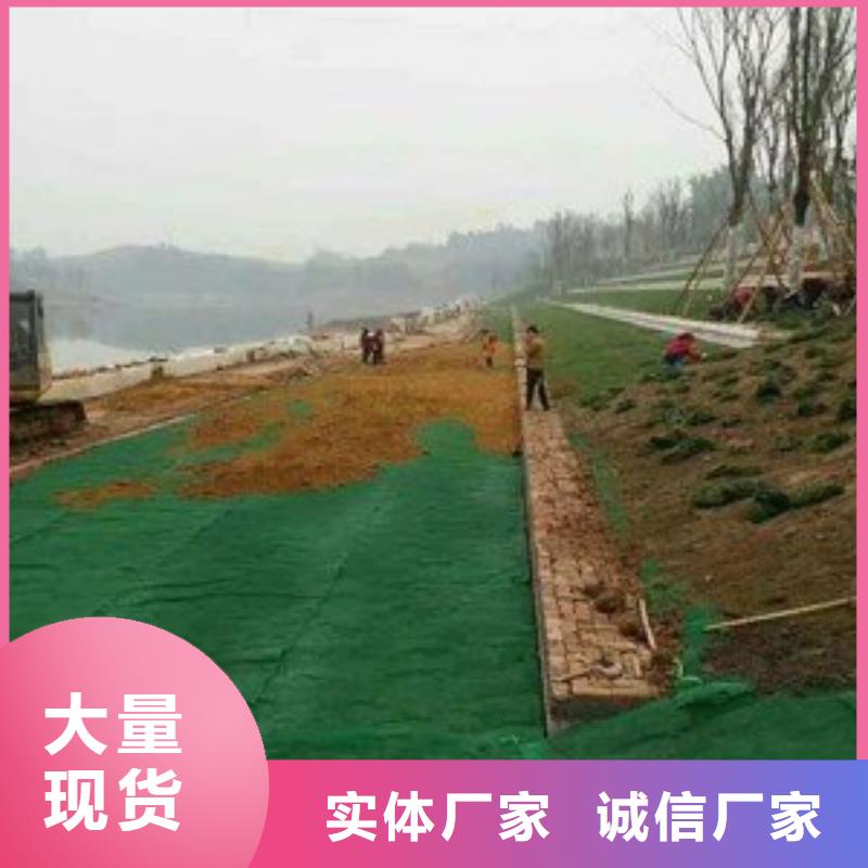 【三维植被网土工布价格质量看得见】