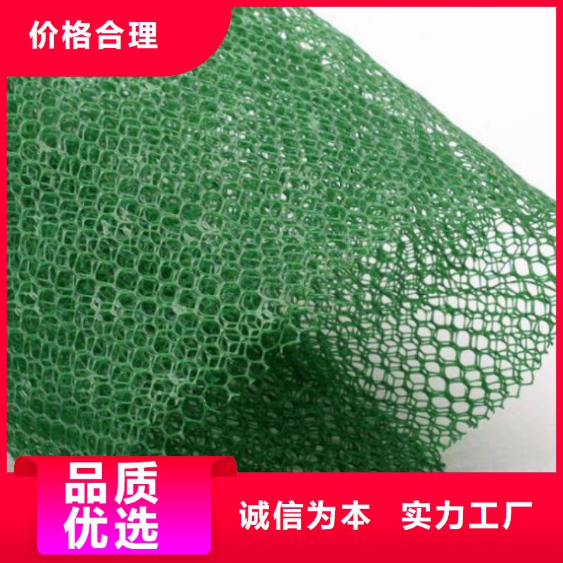 三维植被网土工膜厂家十分靠谱