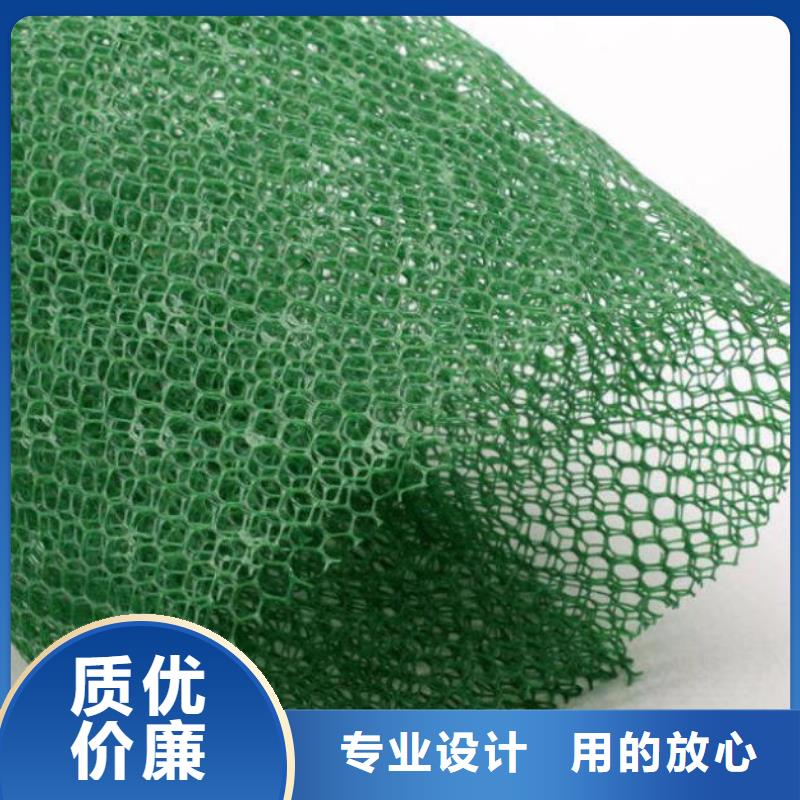 【三维植被网,聚丙烯双拉土工格栅拥有多家成功案例】