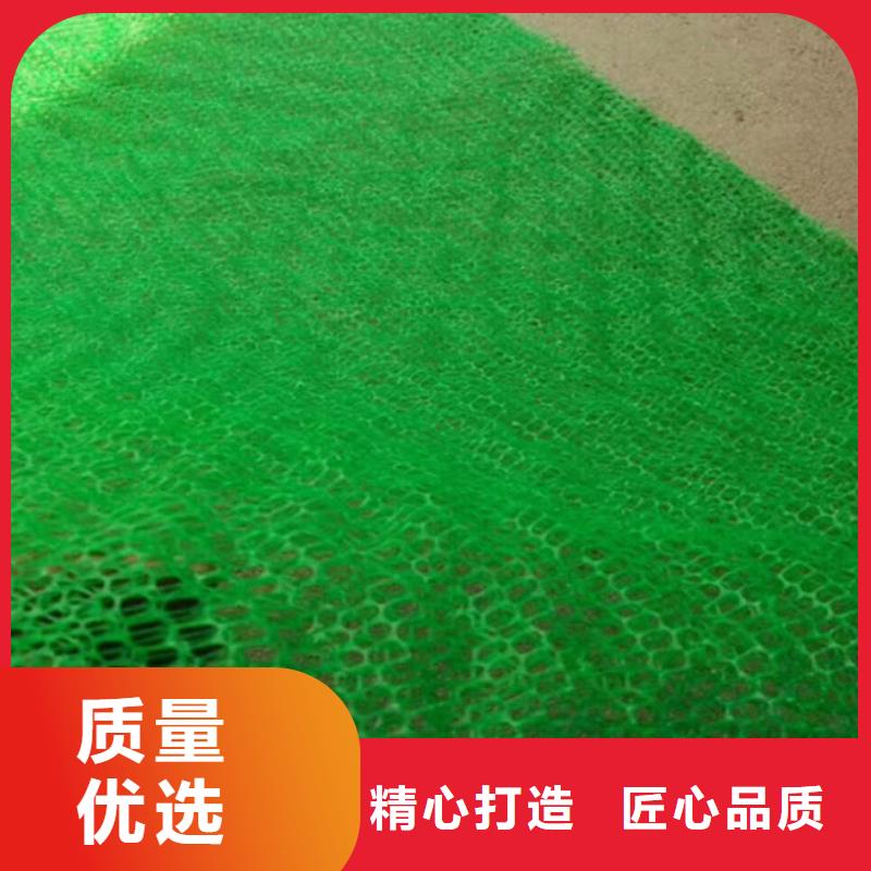 三维植被网,三维水土保护毯订制批发