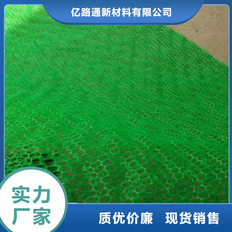 三维植被网长丝无纺土工布精选厂家好货