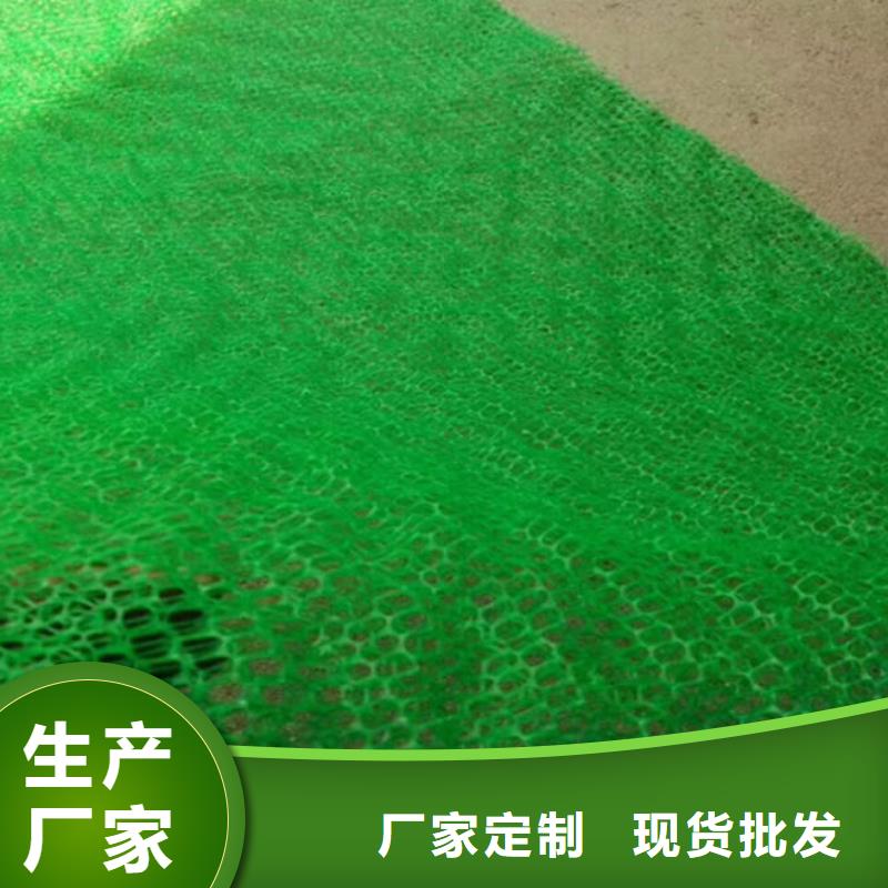 【三维植被网】钢塑土工格栅厂家质量优价格低