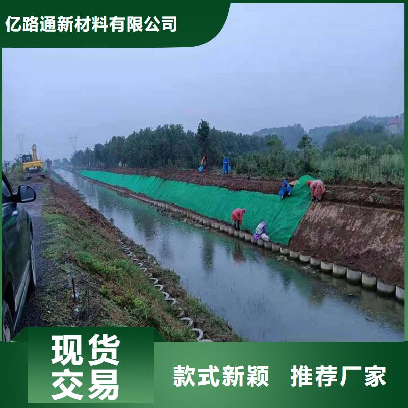 三维植被网【塑料盲沟】厂家工艺先进