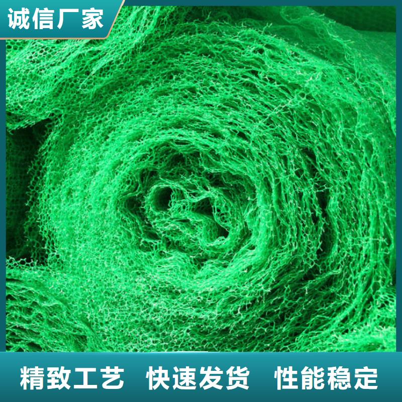 三维植被网聚丙烯双拉土工格栅严格把关质量放心