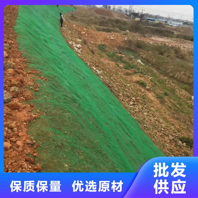 三维植被网【HDPE土工膜】质量牢靠