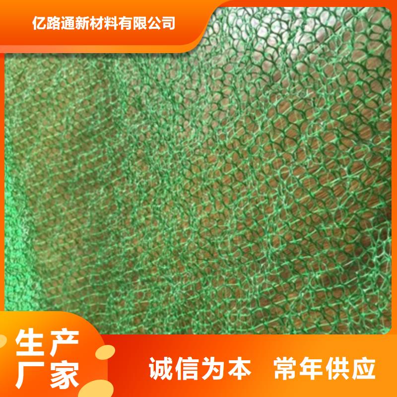 三维植被网玻璃纤维土工格栅正规厂家