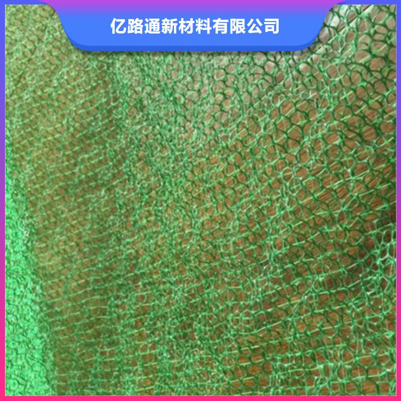三维植被网三维水土保护毯今日价格