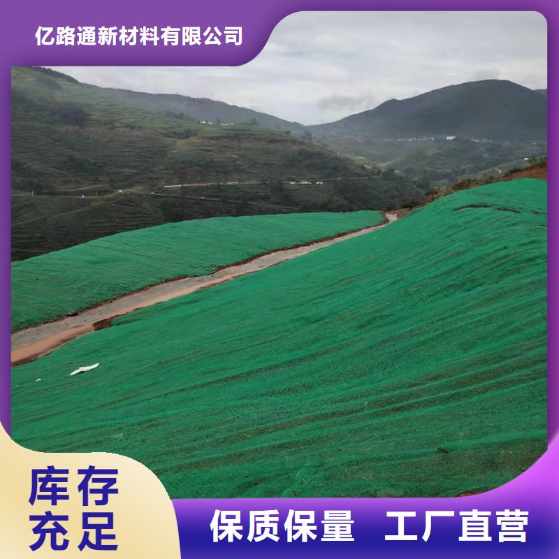 三维植被网,土工格室精心选材