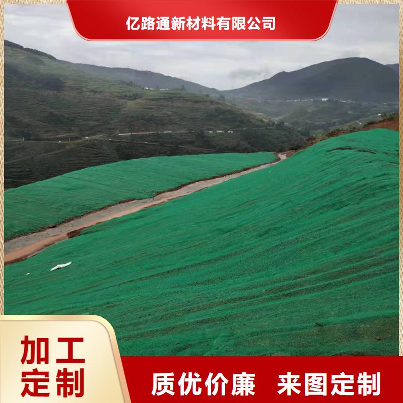 三维植被网三维植被网厂家源头厂源头货