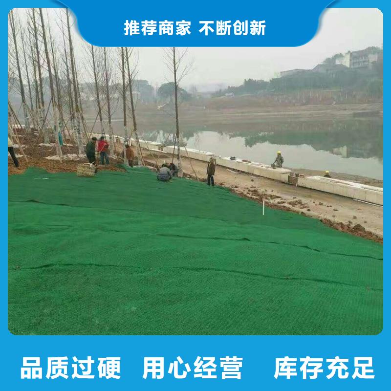 三维植被网钢塑土工格栅供应采购