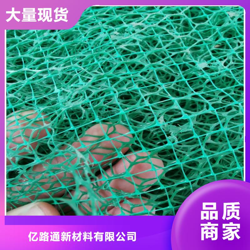三维植被网,塑料盲沟真材实料