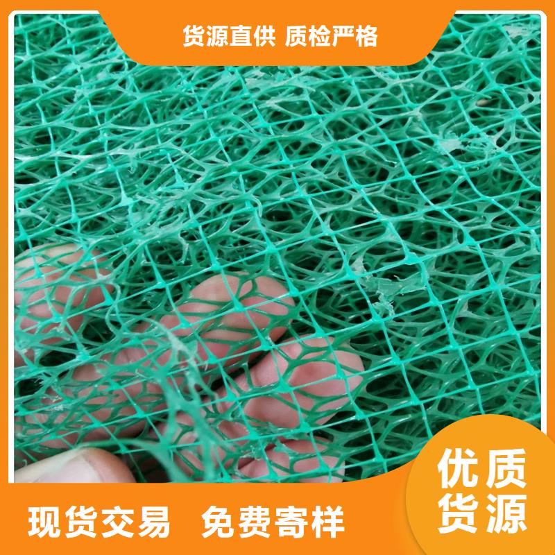 【三维植被网钢塑土工格栅源头工厂】