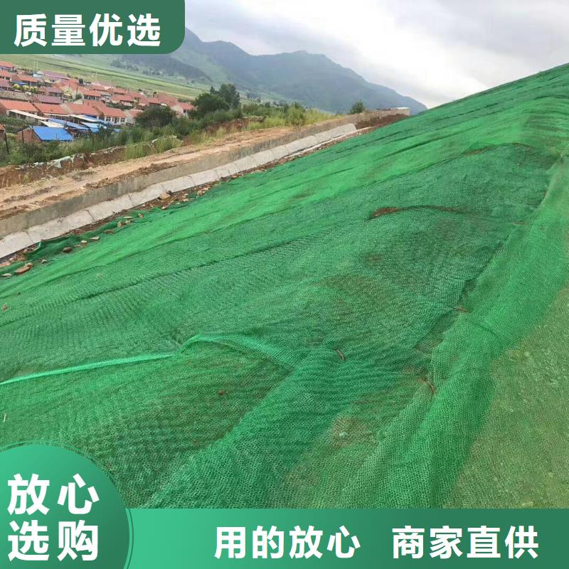 三维植被网,土工格室精心选材