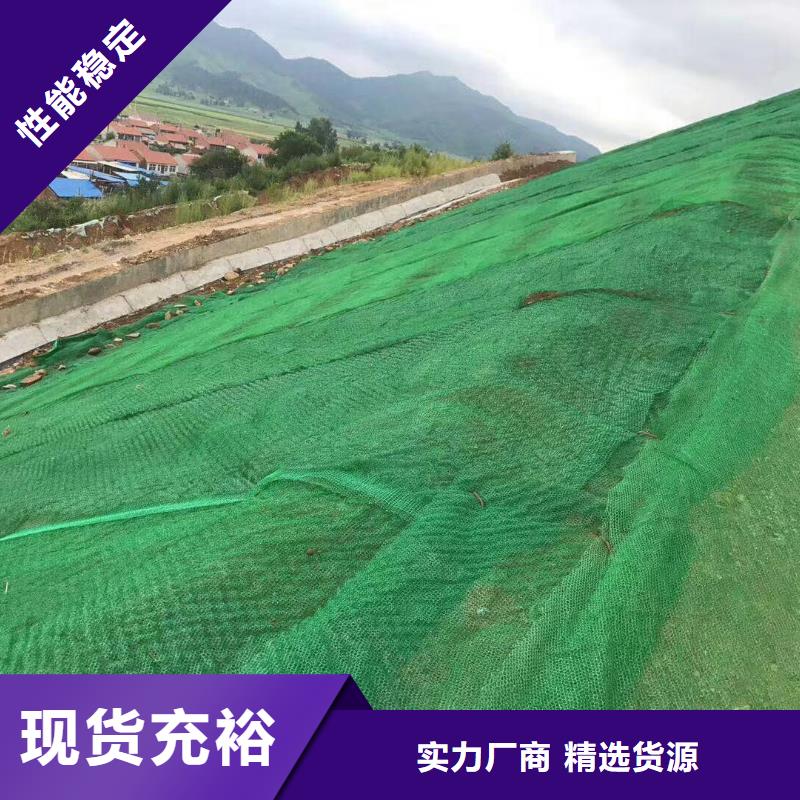 三维植被网三维土工网垫今年新款