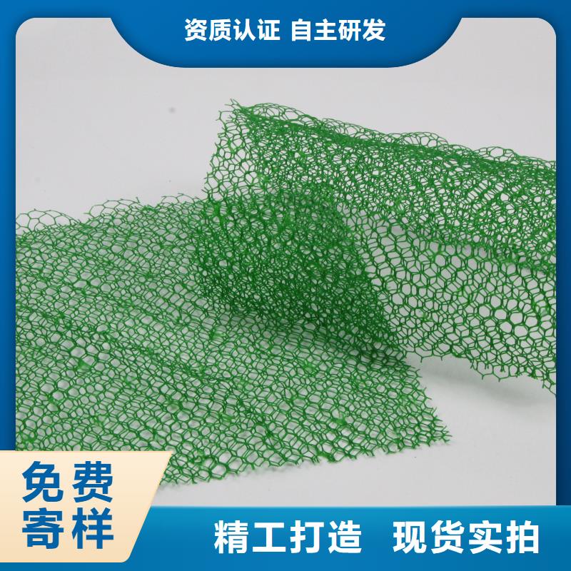 三维植被网涤纶土工格栅工厂认证
