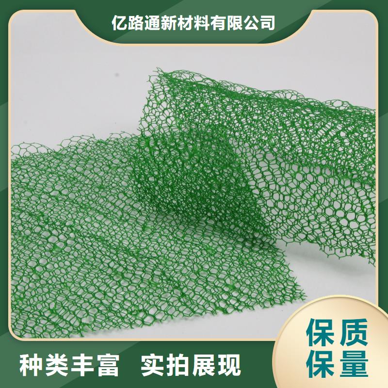 三维植被网三维水土保护毯有口皆碑