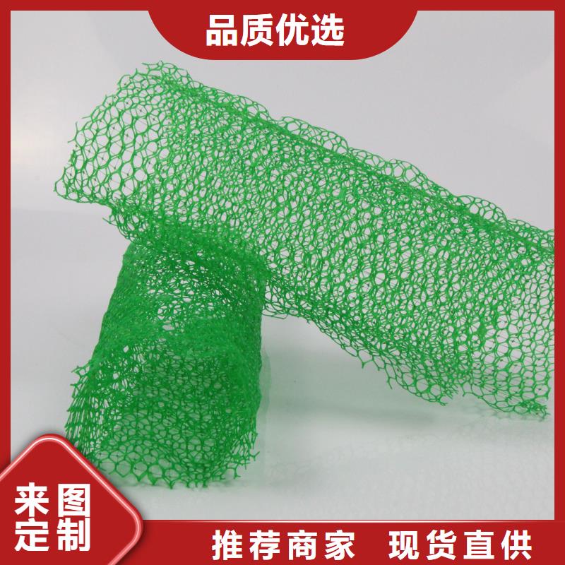 三维植被网三维土工网垫生产型