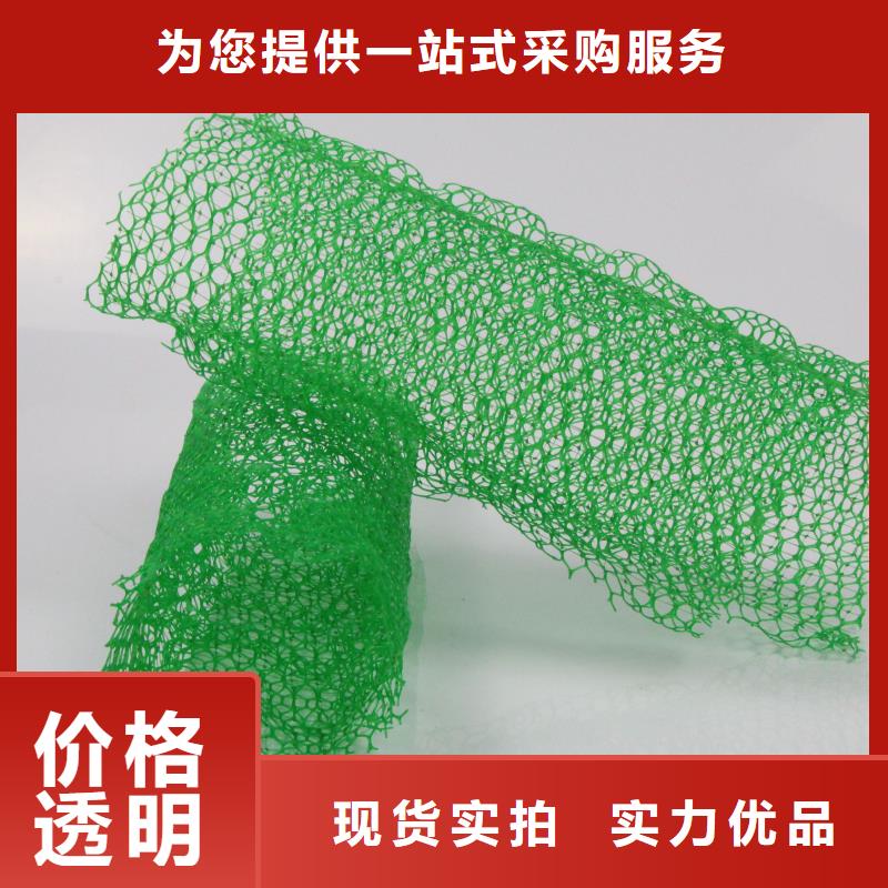 三维植被网塑料排水板专业生产厂家