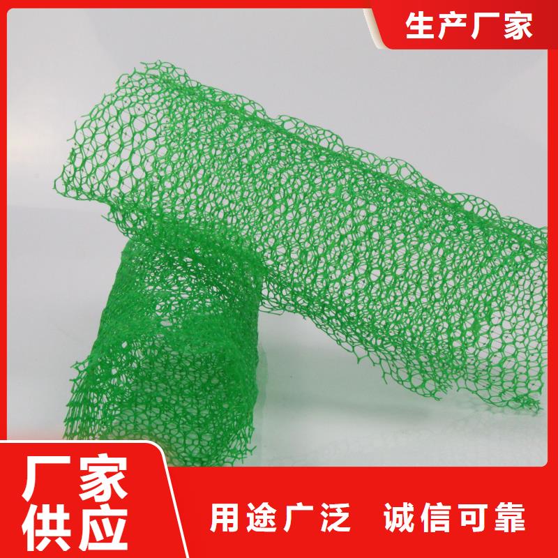 三维植被网三维土工网垫今年新款