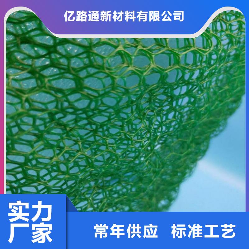 【三维植被网防水土工布厂家极速发货】