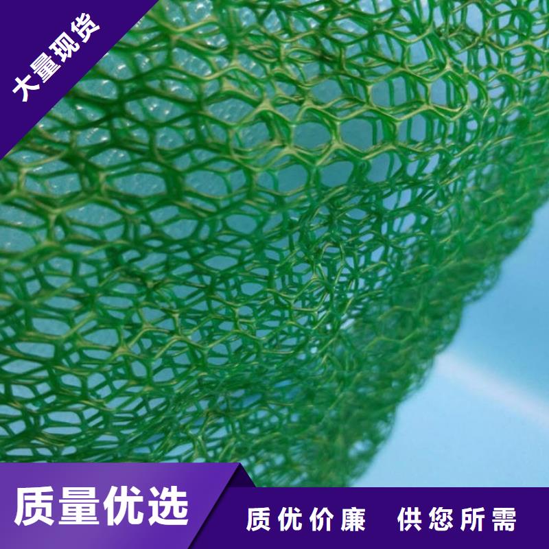 三维植被网玻纤土工格栅质量可靠