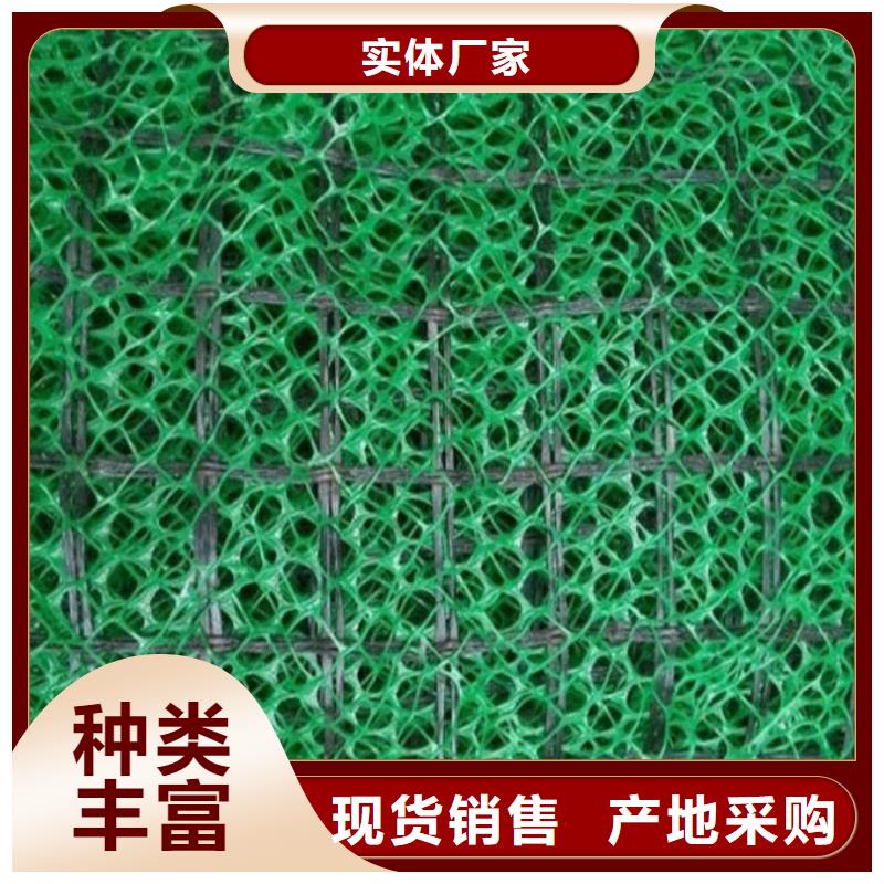 三维植被网-土工格室讲信誉保质量