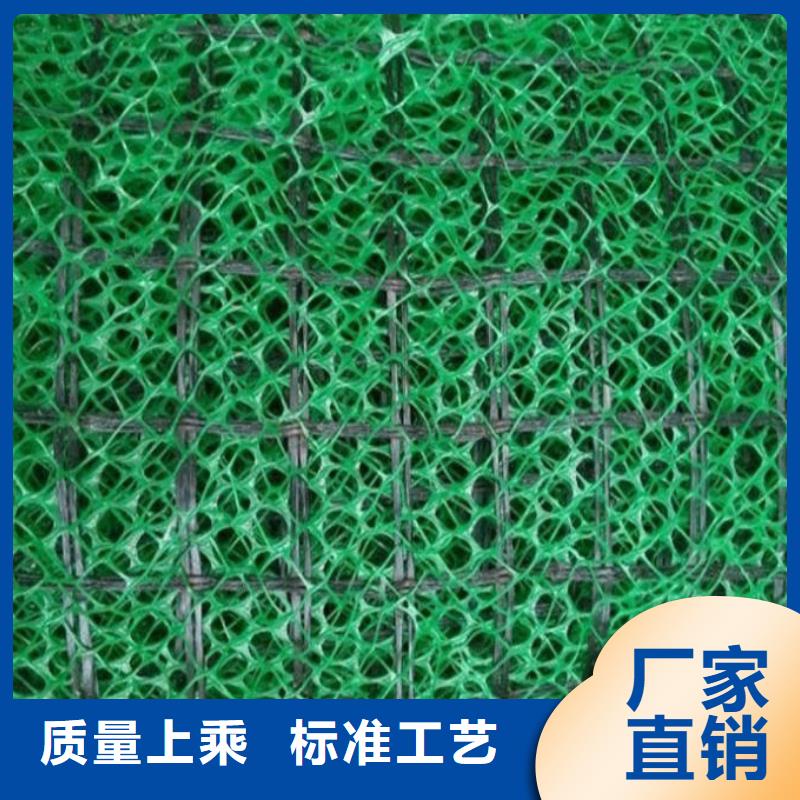 三维植被网单向塑料土工格栅精挑细选好货