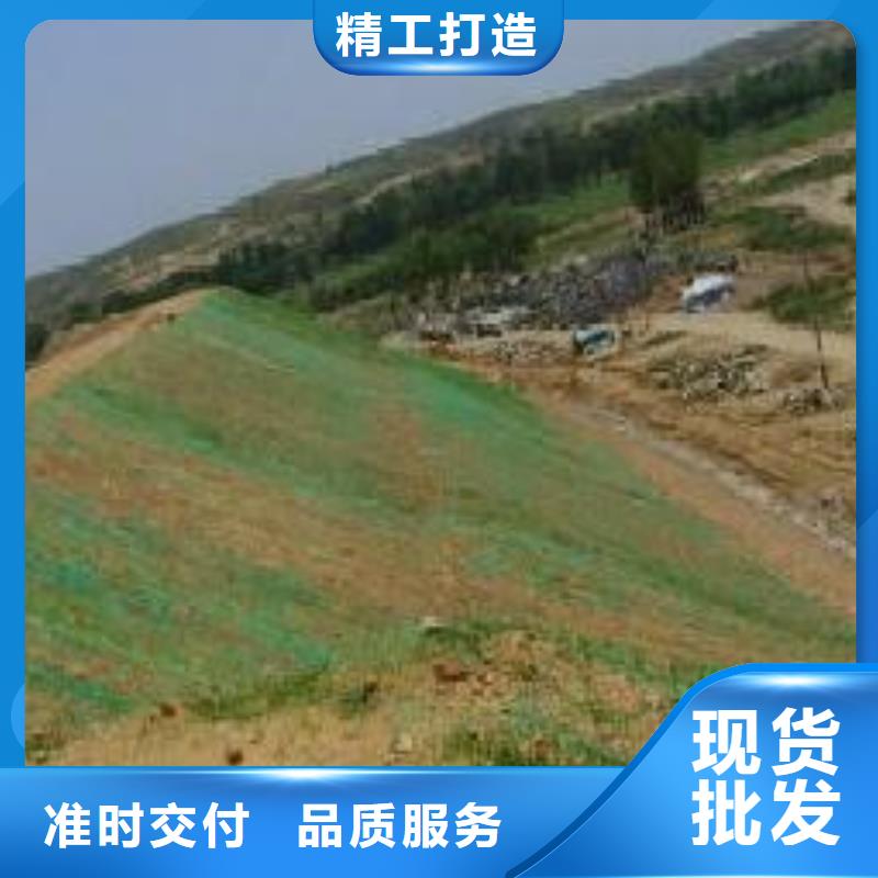 三维植被网三维水土保护毯定制定做