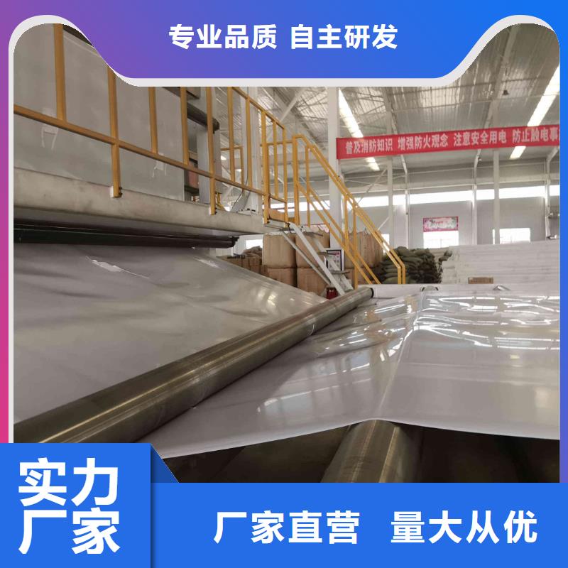 EVA防水板钢塑土工格栅贴心服务