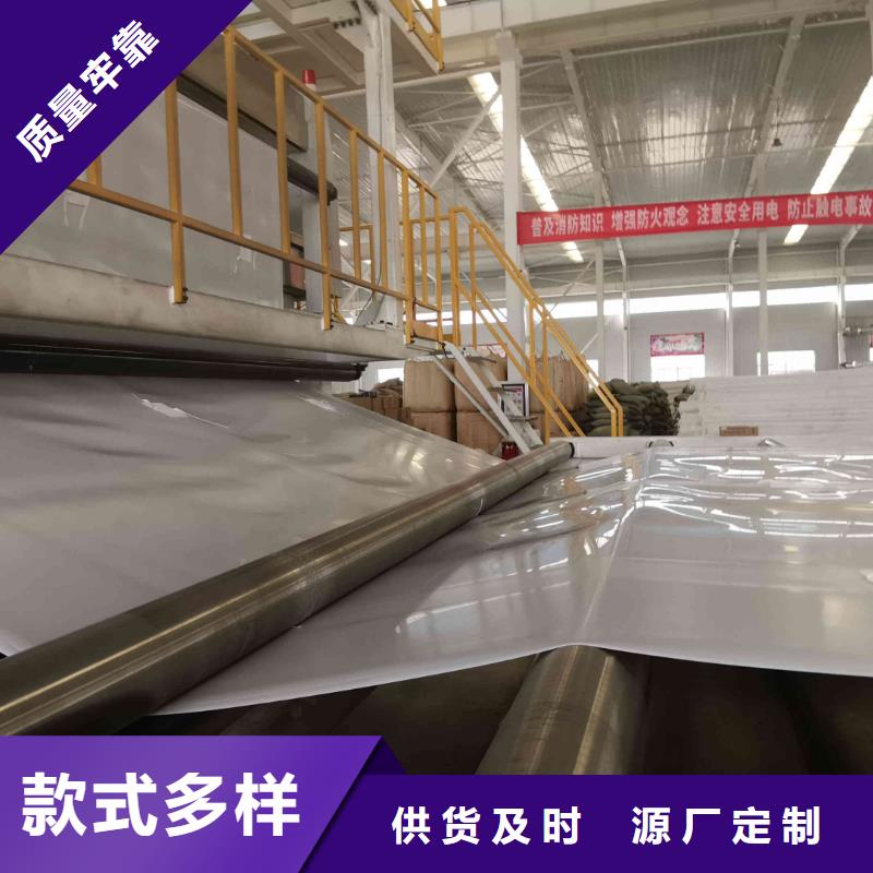 【EVA防水板】钢塑土工格栅厂家买的放心安兴用的舒心