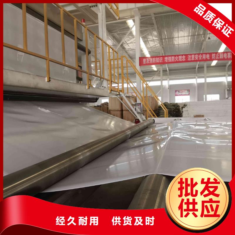 EVA防水板-涤纶土工格栅厂家工艺先进
